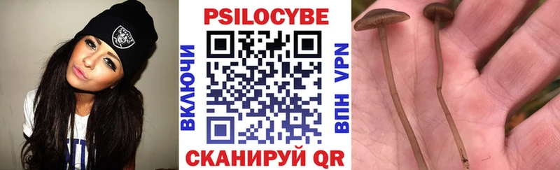 Галлюциногенные грибы GOLDEN TEACHER  Купить где  Щигры 